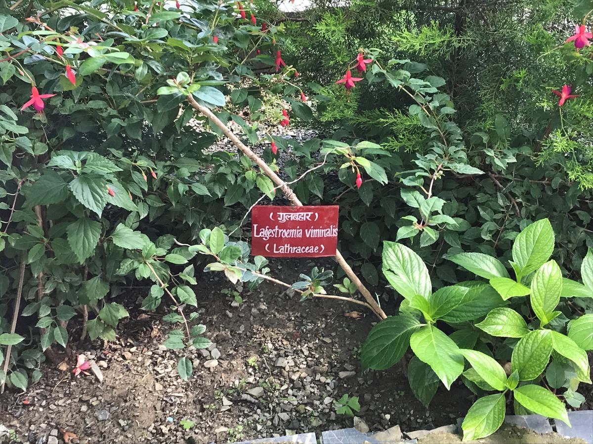 Welcomheritage Ashdale Nainital Bagian luar foto